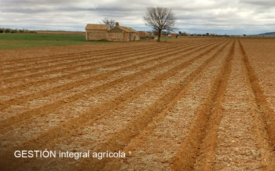 Agricultura sostenible medioambiental y económica.